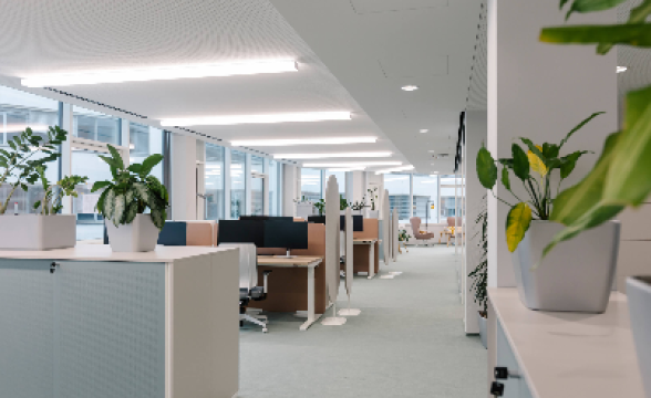 BAUMANN GLAS Techbase Linz